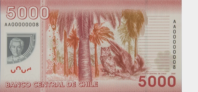 billete 5000 reverso